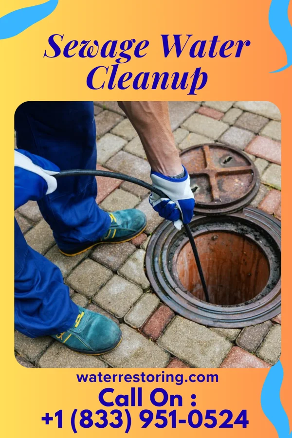 Sewage Water Cleanup in Silverstreet, SC